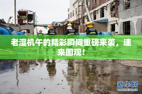 老湿机午的精彩瞬间重磅来袭，速来围观！