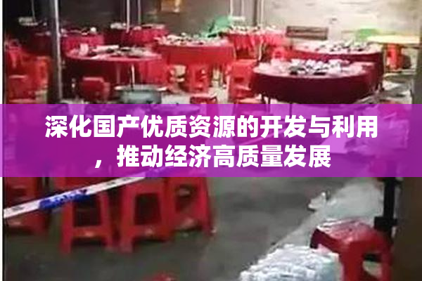 深化国产优质资源的开发与利用，推动经济高质量发展
