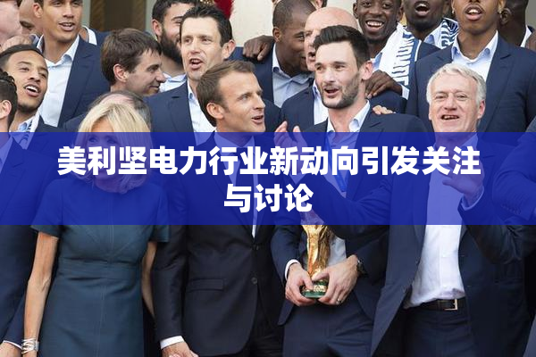 美利坚电力行业新动向引发关注与讨论