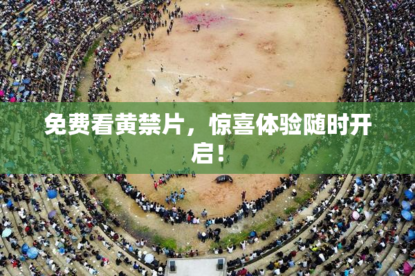 免费看黄禁片，惊喜体验随时开启！