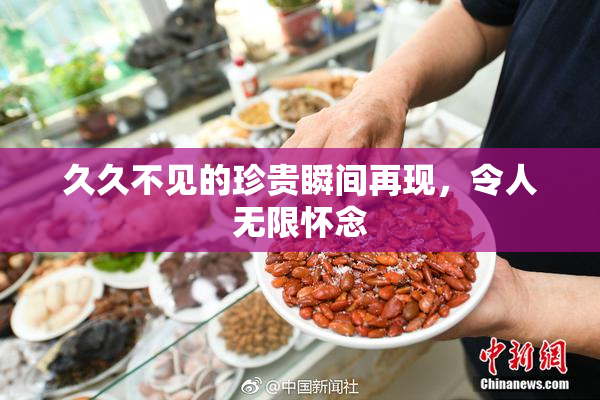 久久不见的珍贵瞬间再现，令人无限怀念