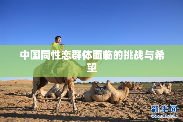 中国同性恋群体面临的挑战与希望