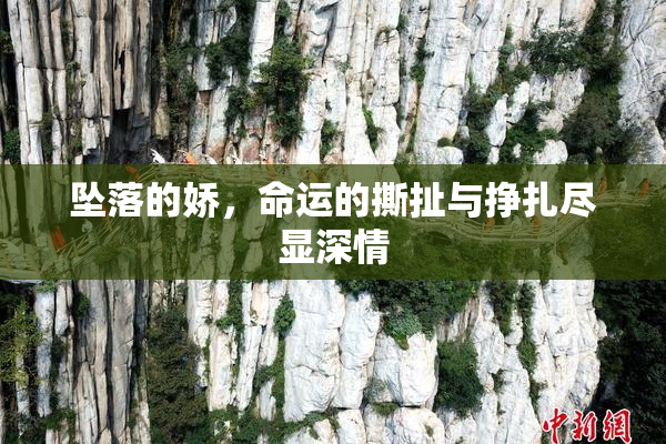 坠落的娇，命运的撕扯与挣扎尽显深情
