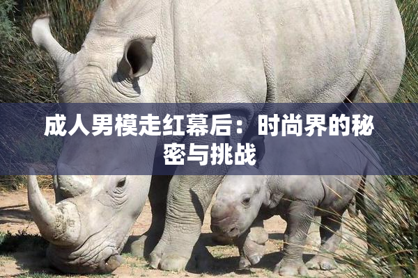 成人男模走红幕后：时尚界的秘密与挑战