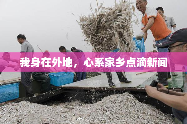 我身在外地，心系家乡点滴新闻