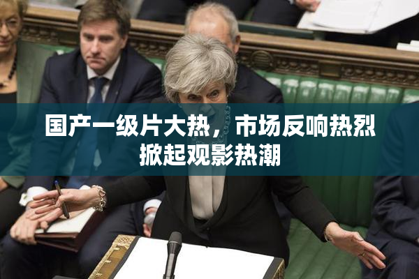 国产一级片大热，市场反响热烈掀起观影热潮