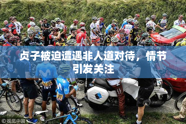 贞子被迫遭遇非人道对待，情节引发关注