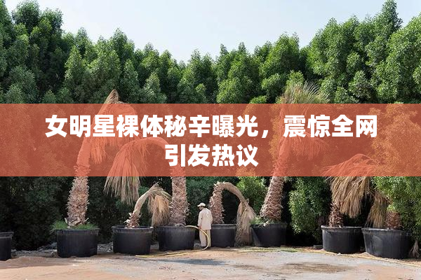 女明星裸体秘辛曝光，震惊全网引发热议