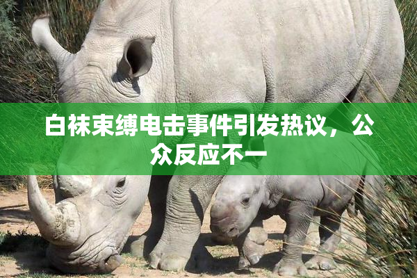 白袜束缚电击事件引发热议，公众反应不一
