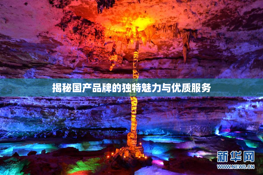 揭秘国产品牌的独特魅力与优质服务