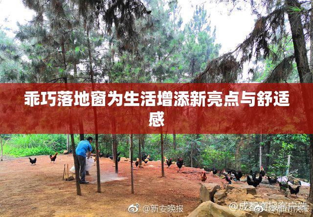 乖巧落地窗为生活增添新亮点与舒适感