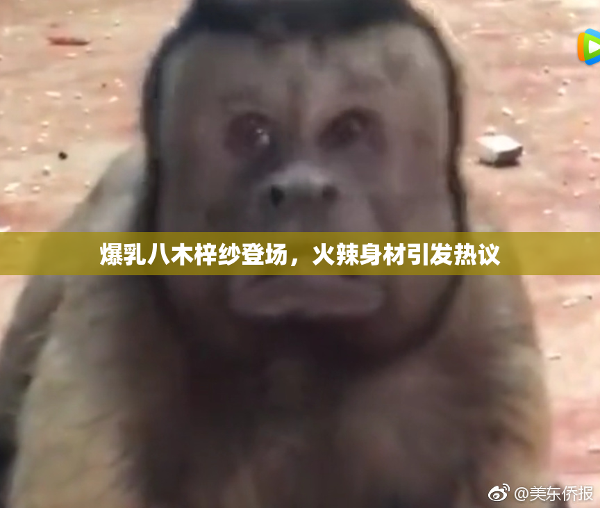 爆乳八木梓纱登场，火辣身材引发热议