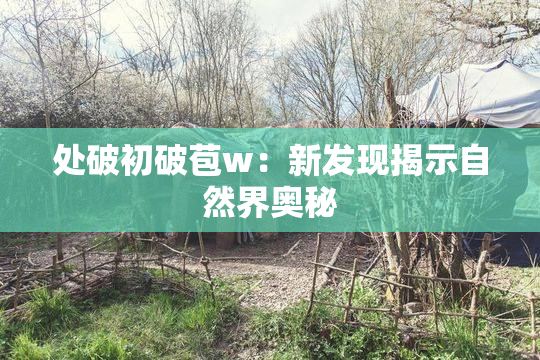 处破初破苞w：新发现揭示自然界奥秘