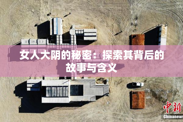 女人大阴的秘密：探索其背后的故事与含义