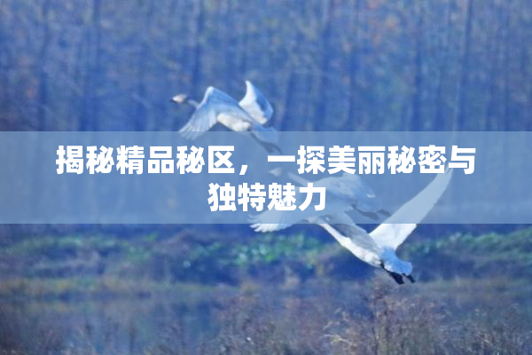 揭秘精品秘区，一探美丽秘密与独特魅力