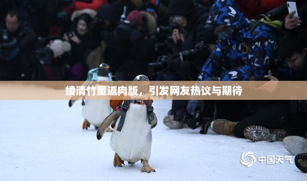 绫清竹重返肉版，引发网友热议与期待