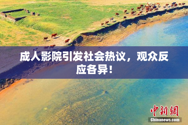 成人影院引发社会热议，观众反应各异！