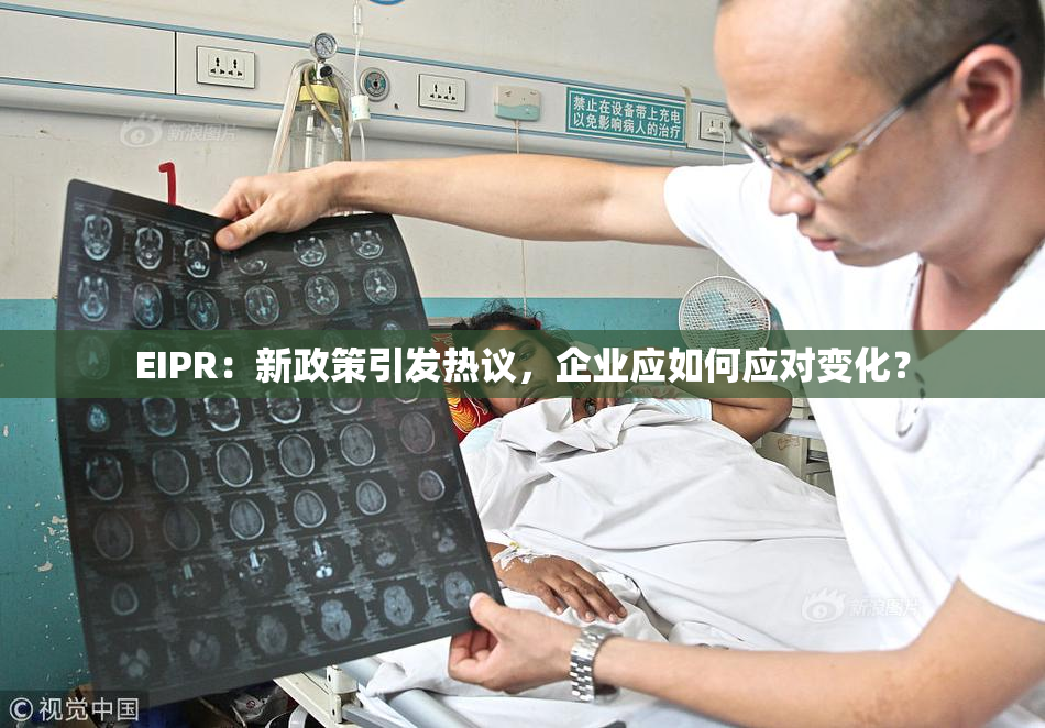 EIPR：新政策引发热议，企业应如何应对变化？