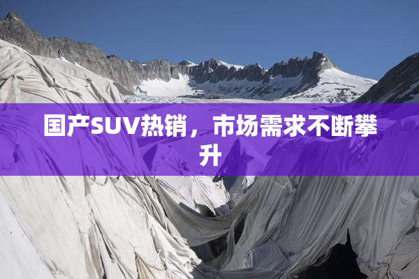 国产SUV热销，市场需求不断攀升