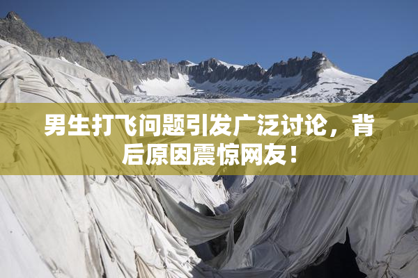 男生打飞问题引发广泛讨论，背后原因震惊网友！