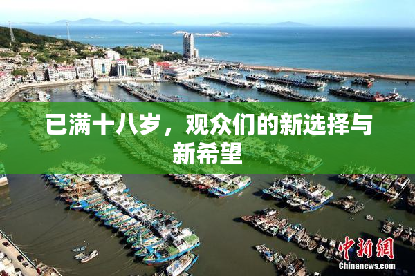 已满十八岁，观众们的新选择与新希望