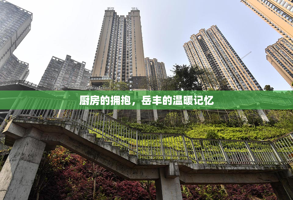 厨房的拥抱，岳丰的温暖记忆