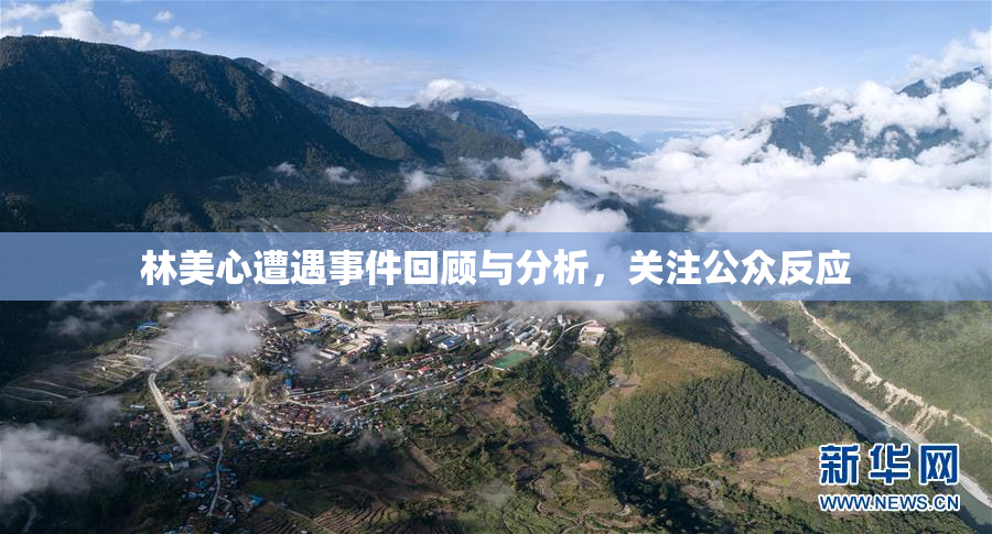 林美心遭遇事件回顾与分析，关注公众反应