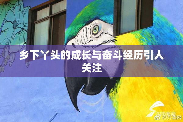 乡下丫头的成长与奋斗经历引人关注