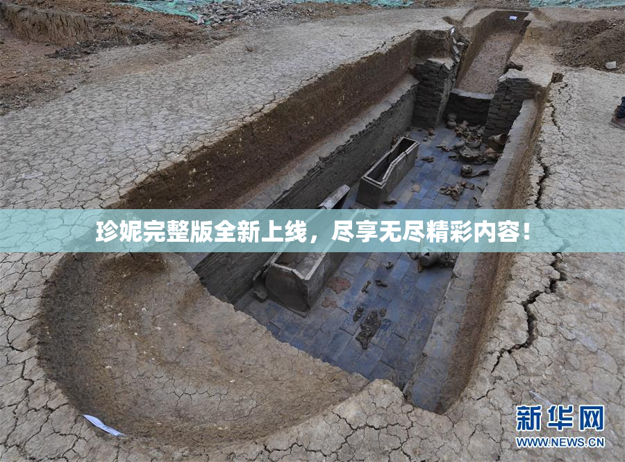 珍妮完整版全新上线，尽享无尽精彩内容！