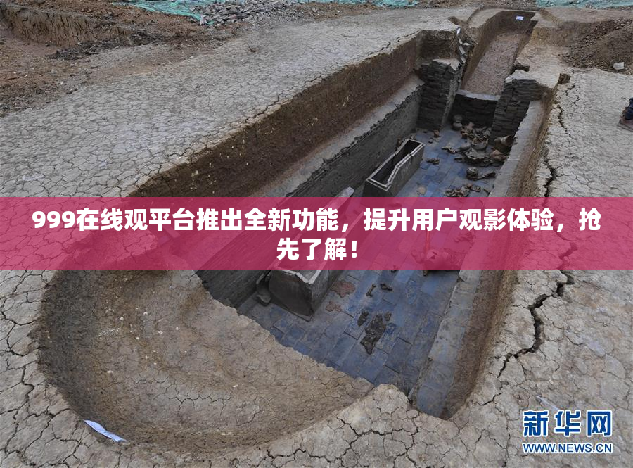 999在线观平台推出全新功能，提升用户观影体验，抢先了解！