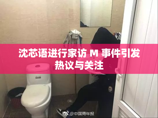 沈芯语进行家访 M 事件引发热议与关注
