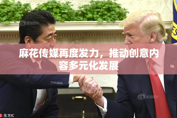 麻花传媒再度发力，推动创意内容多元化发展