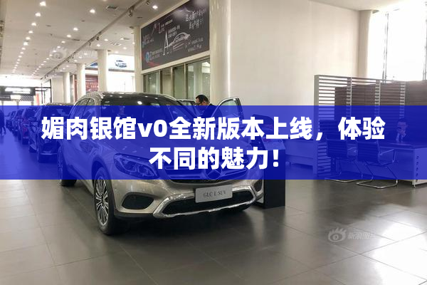 媚肉银馆v0全新版本上线，体验不同的魅力！