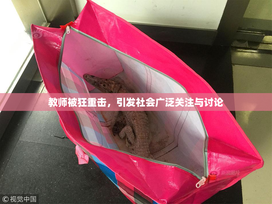 教师被狂重击，引发社会广泛关注与讨论