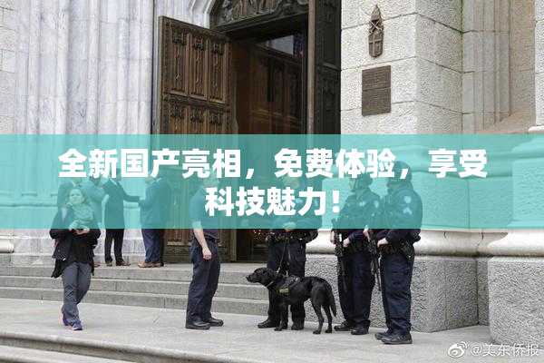 全新国产亮相，免费体验，享受科技魅力！