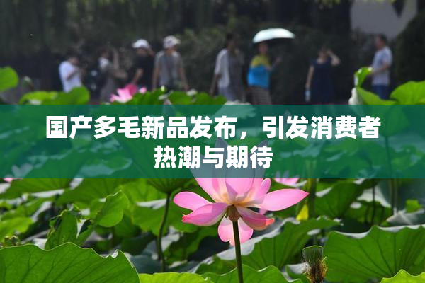 国产多毛新品发布，引发消费者热潮与期待