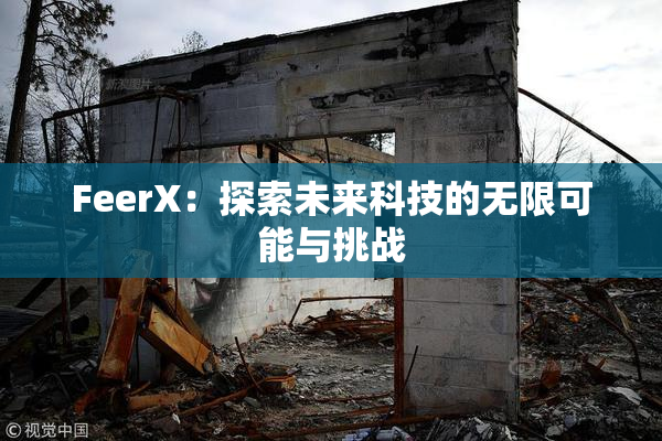 FeerX：探索未来科技的无限可能与挑战