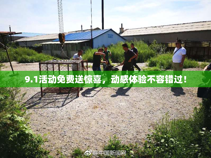 9.1活动免费送惊喜，动感体验不容错过！