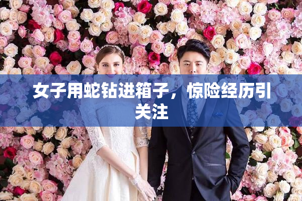 女子用蛇钻进箱子，惊险经历引关注