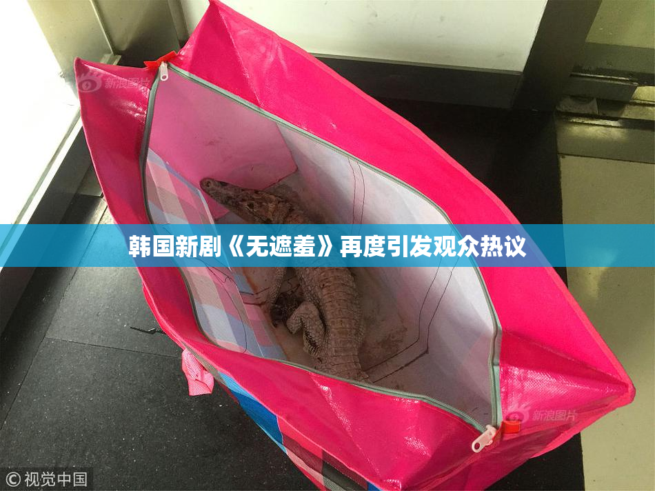 韩国新剧《无遮羞》再度引发观众热议