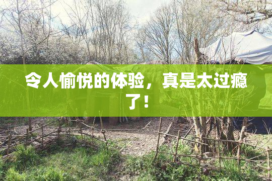 令人愉悦的体验，真是太过瘾了！