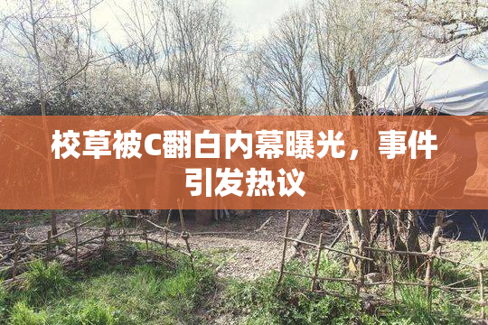 校草被C翻白内幕曝光，事件引发热议