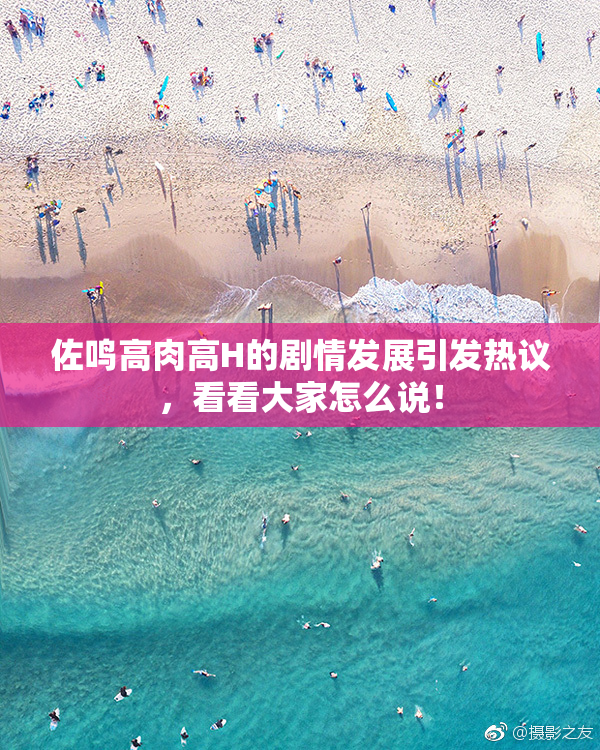 佐鸣高肉高H的剧情发展引发热议，看看大家怎么说！