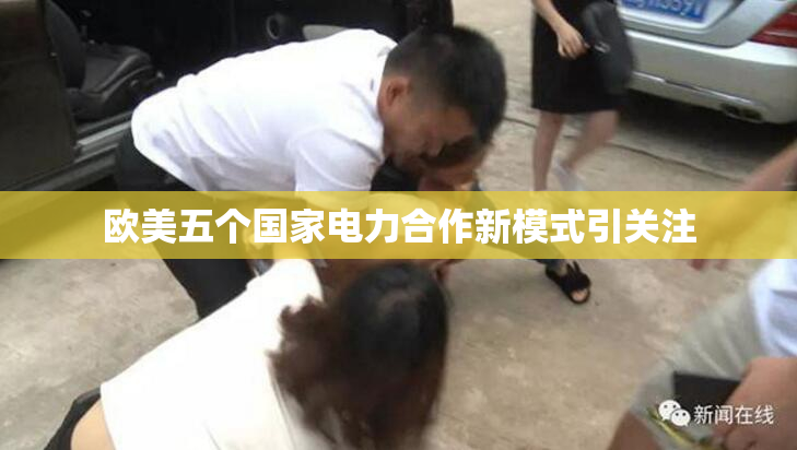 欧美五个国家电力合作新模式引关注