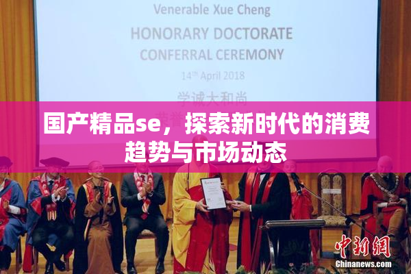 国产精品se，探索新时代的消费趋势与市场动态