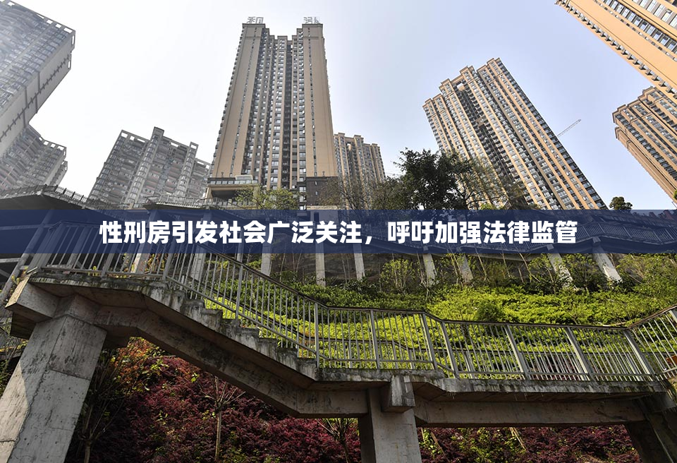 性刑房引发社会广泛关注，呼吁加强法律监管