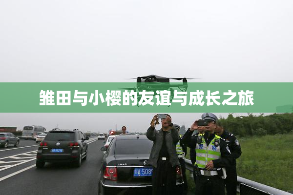 雏田与小樱的友谊与成长之旅