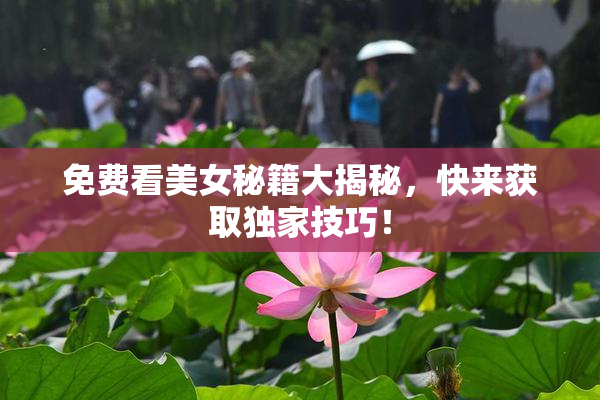 免费看美女秘籍大揭秘，快来获取独家技巧！