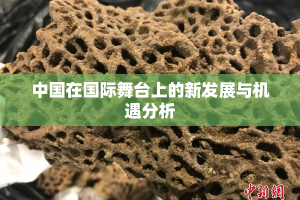 中国在国际舞台上的新发展与机遇分析