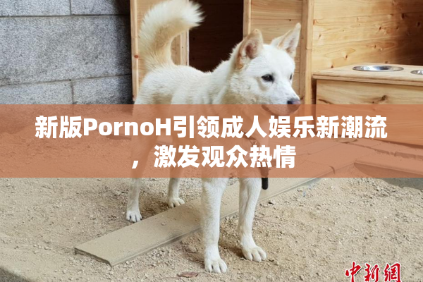 新版PornoH引领成人娱乐新潮流，激发观众热情